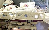 Specialty Beds